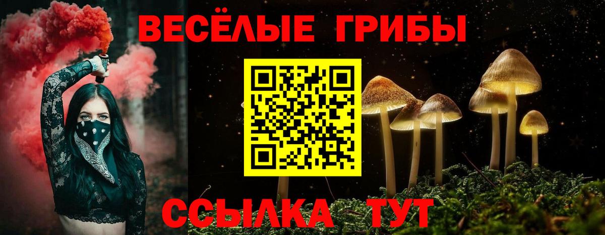 Галлюциногенные грибы GOLDEN TEACHER  Галлюциногенные грибы мухоморы  Вход с VPN  Димитровград 